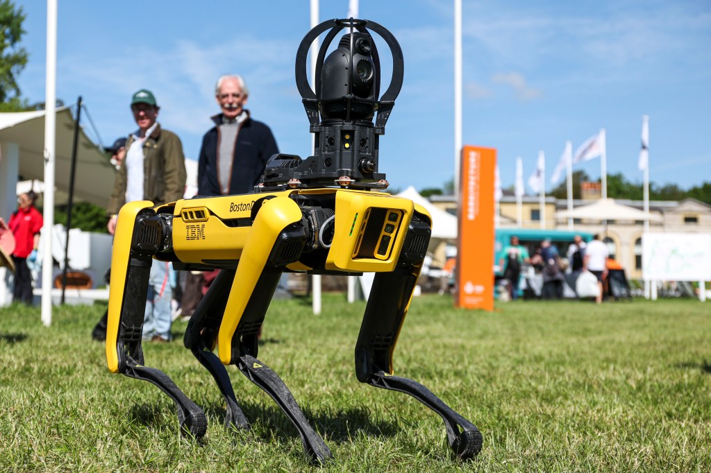 IBM Boston Dynamics robot dog at Goodwoof 2023